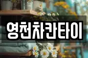 영천차칸타이