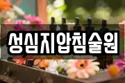 성심지압침술원