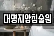 대명지압침술원