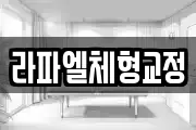 라파엘체형교정