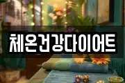 체온건강다이어트