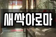새싹아로마