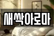 새싹아로마