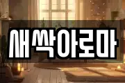 새싹아로마