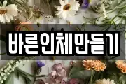바른인체만들기