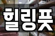 힐링풋