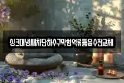 싱크대냄새차단하수구막힘역류뚫음수전교체