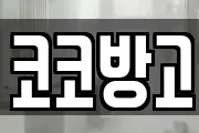 코코방고