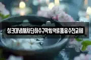 싱크대냄새차단하수구막힘역류뚫음수전교체