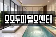 모모두피탈모센터