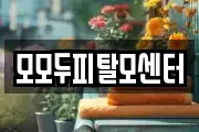 모모두피탈모센터