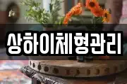 상하이체형관리