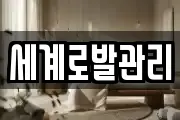 세계로발관리