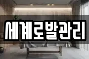 세계로발관리