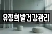 유정희발건강관리