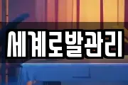 세계로발관리