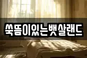 쑥뜸이있는뱃살랜드