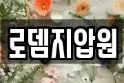 로뎀지압원