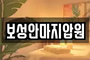 보성안마지압원
