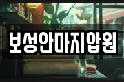 보성안마지압원