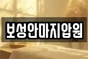 보성안마지압원
