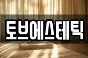 토브에스테틱