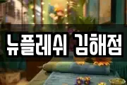 뉴플레쉬 김해점
