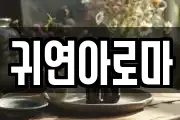 귀연아로마