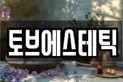 토브에스테틱