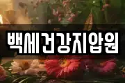 백세건강지압원