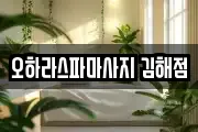 경상남도 김해시 마사지, 지압등 업체정보