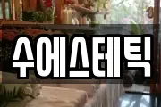 수에스테틱