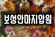 보성안마지압원
