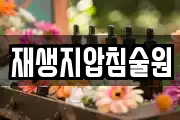 재생지압침술원