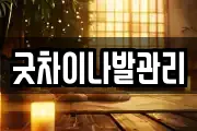 굿차이나발관리