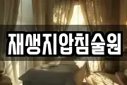 재생지압침술원