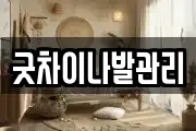 굿차이나발관리