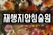 재생지압침술원