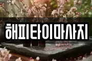 경상남도 밀양시 삼문동 마사지, 지압등 업체정보