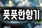 풋풋한향기