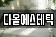 다올에스테틱