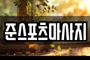 준스포츠마사지