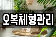 오복체형관리