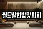 월드빌한방맛사지