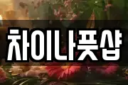 차이나풋샵