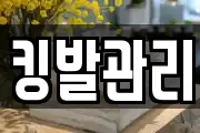 킹발관리