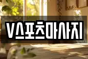 V스포츠마사지