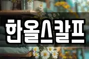 한올스칼프