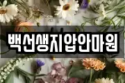 백선생지압안마원