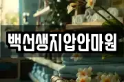 백선생지압안마원